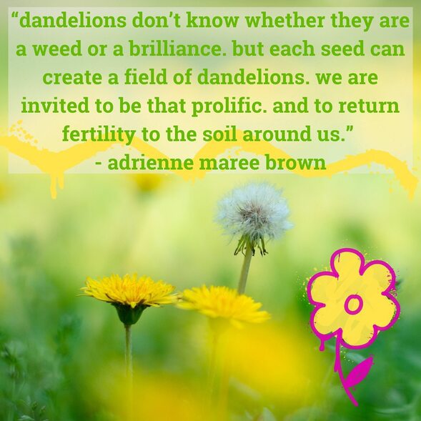 A picture of dandelions features green text that reads 